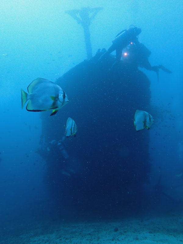 MV Alma Jane