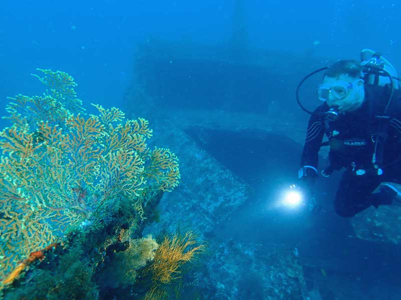 MV Alma Jane