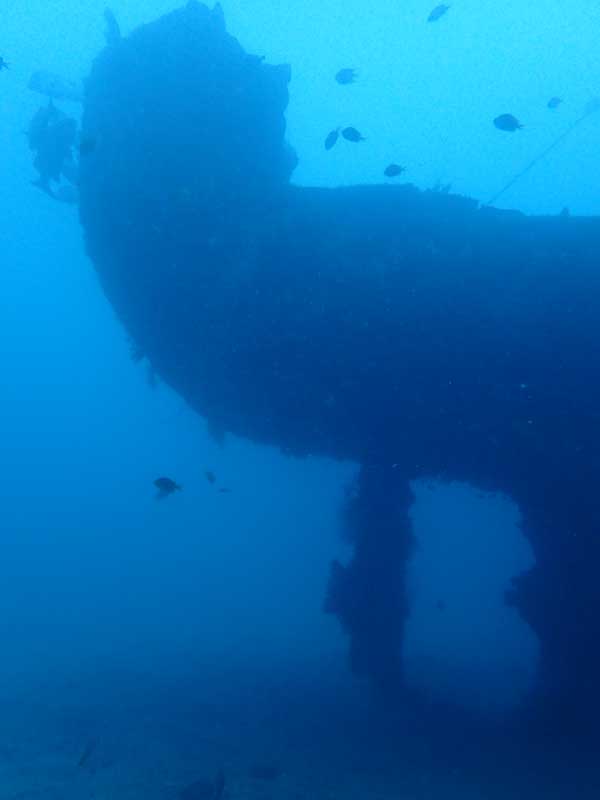 MV Alma Jane