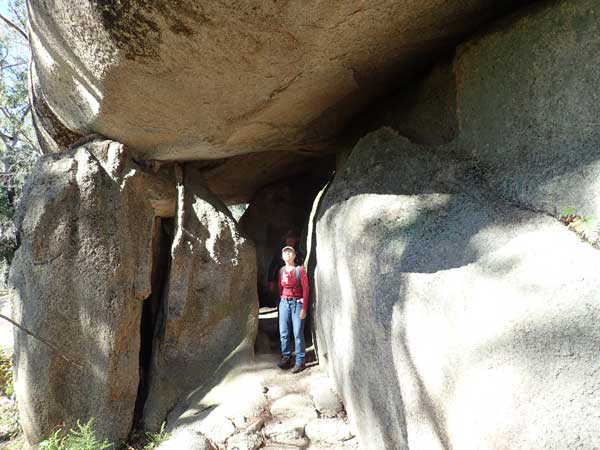 Bald Rock NP