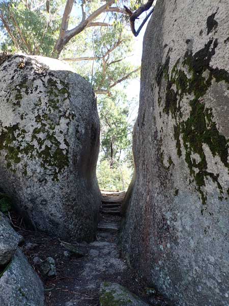 Bald Rock NP