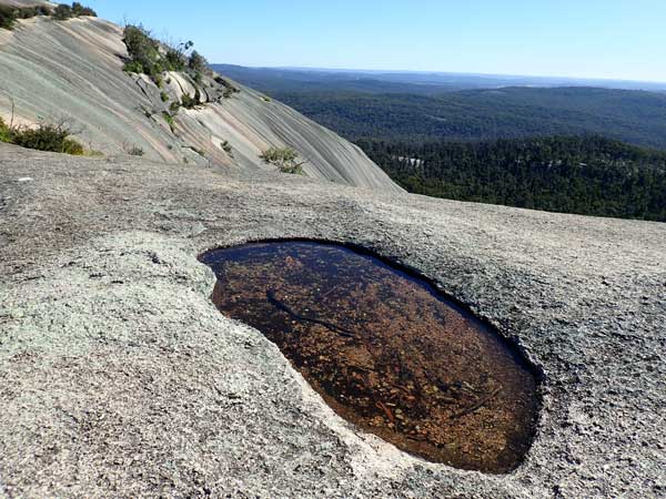 Bald Rock NP