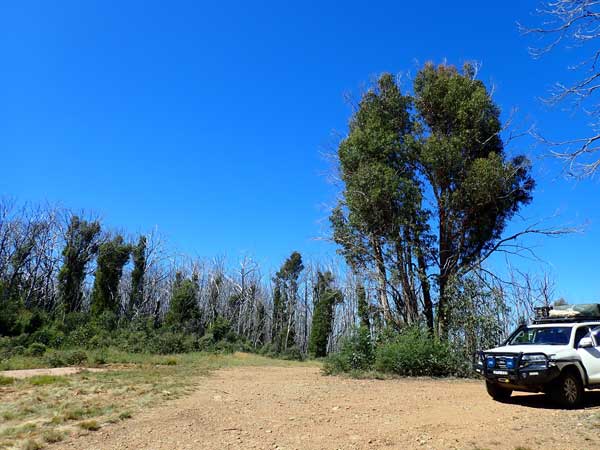 Victorian High Country