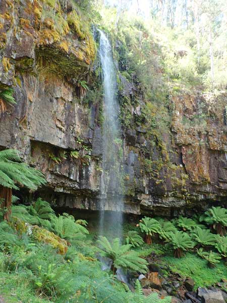 Victorian High Country
