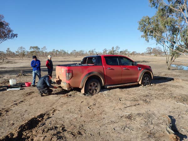 Sturt NP