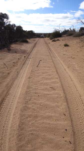 Border Track