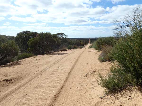 Border Track