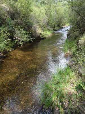 Buckland River