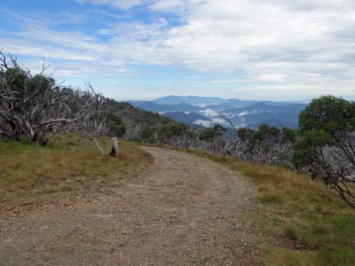Buckland Valley