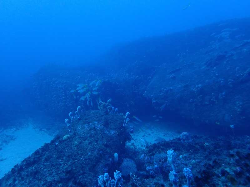 Bypass Reef