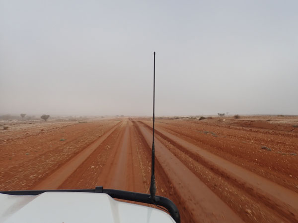 Sturt NP