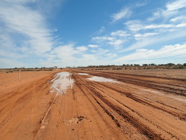 Sturt NP