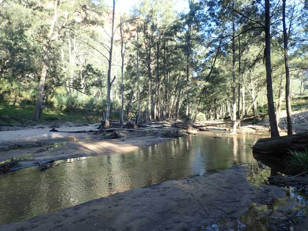 Wollemi NP