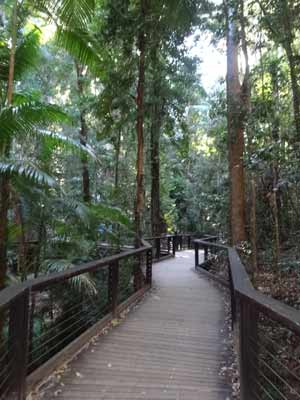 Fraser Island