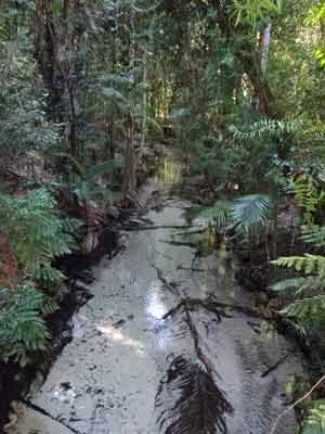 Fraser Island