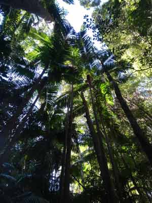 Fraser Island