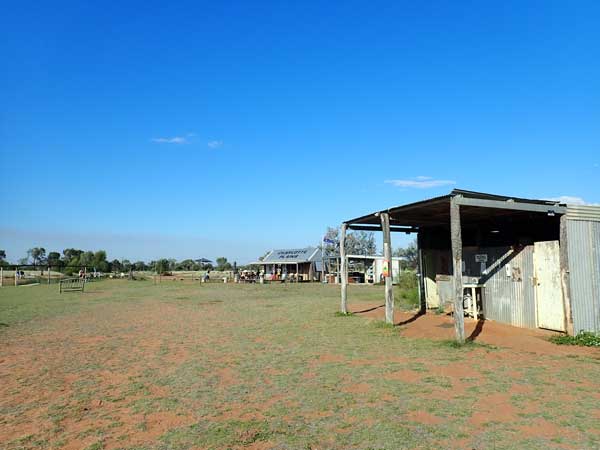 Charlotte Plains