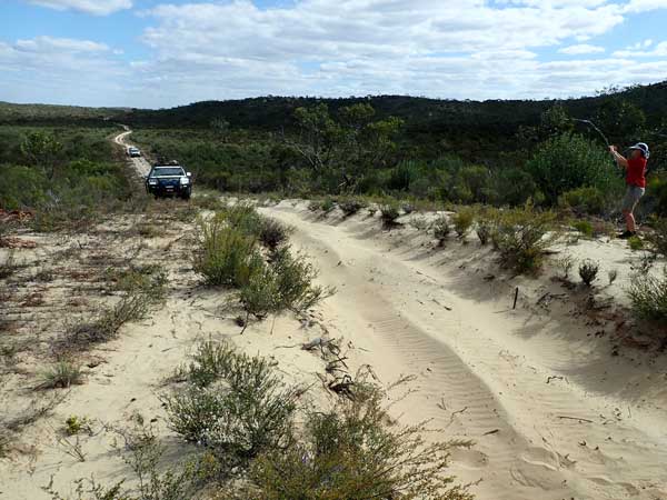 Coburns Track