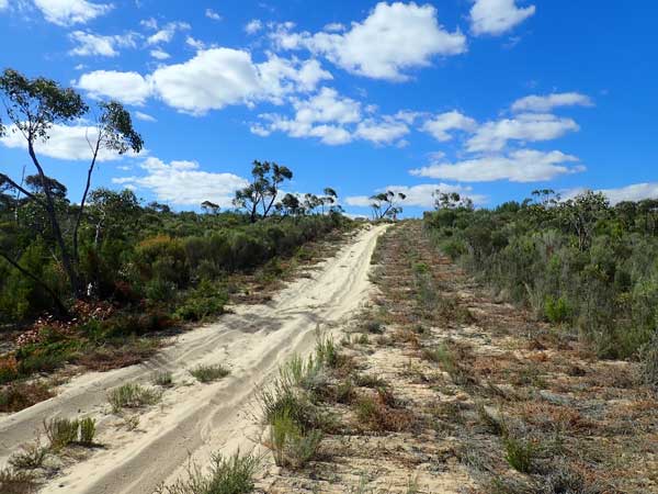 Coburns Track
