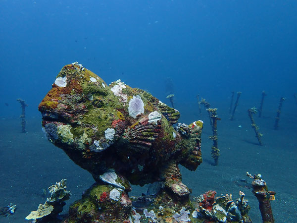 Coral Gardens