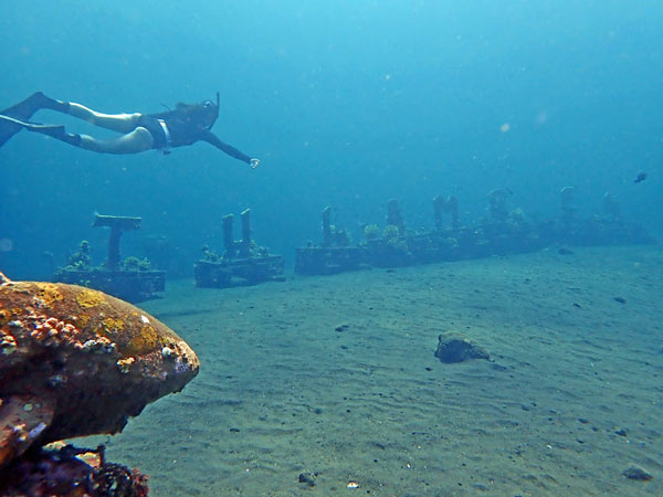 Coral Gardens