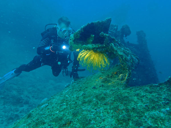 Dari Laut