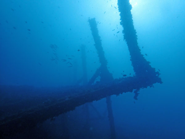 Dari Laut