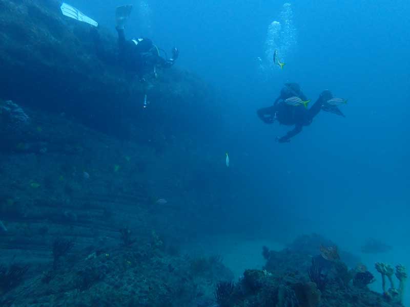 Leap Deep