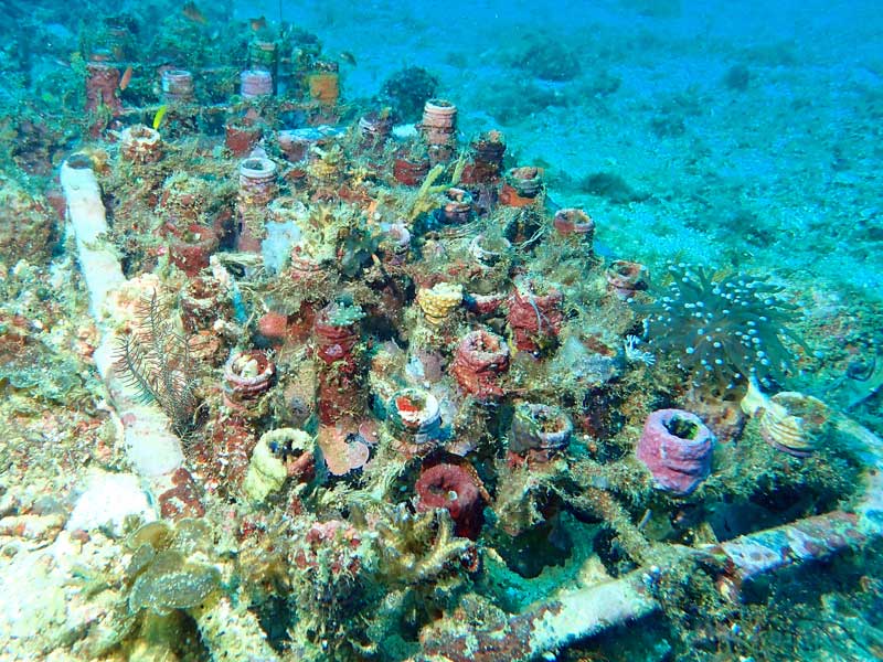 Dry Dock