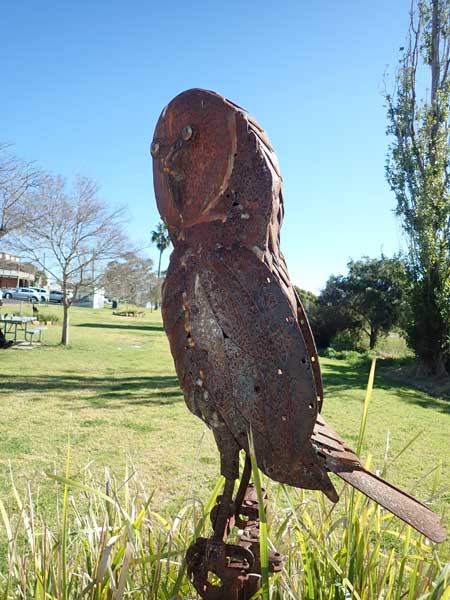 Dunedoo