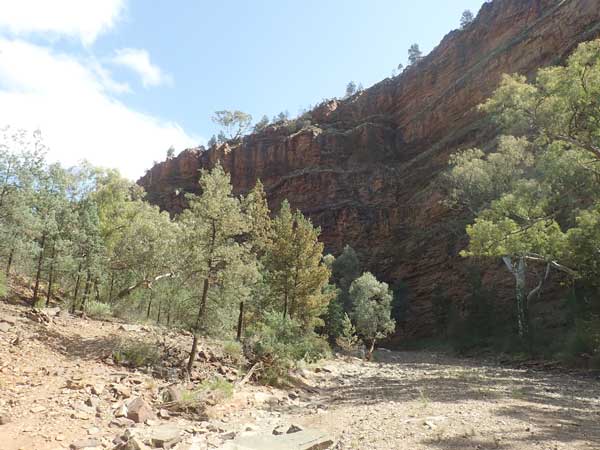 Flinders Ranges