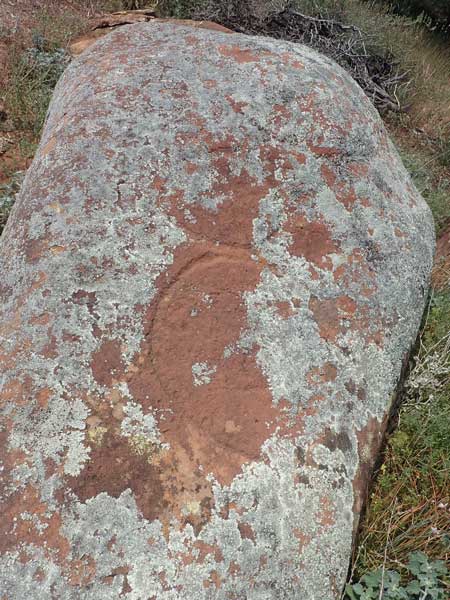Flinders Ranges
