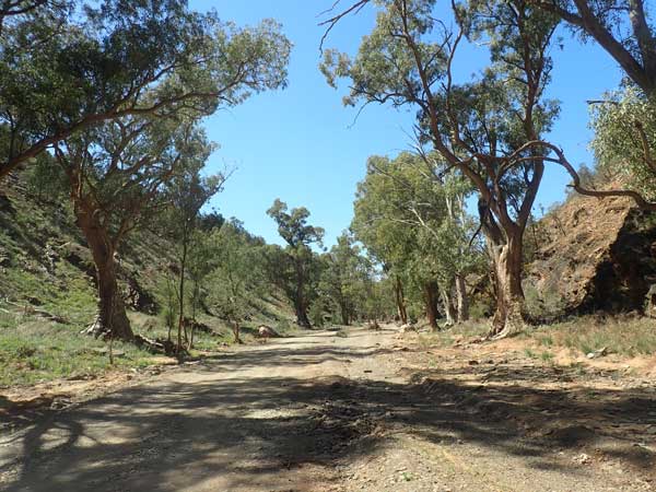 Flinders Ranges