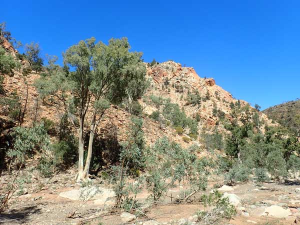 Flinders Ranges