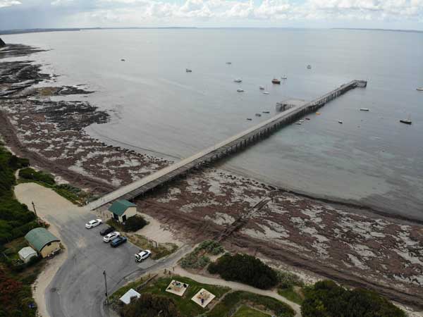 Flinders Pier