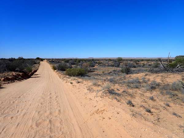 Simpson Desert