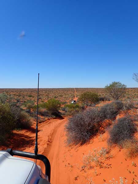 Simpson Desert