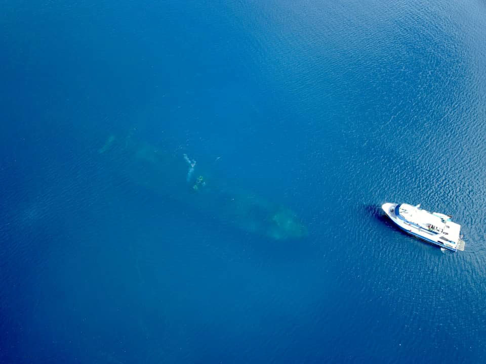 Fujikawa Maru