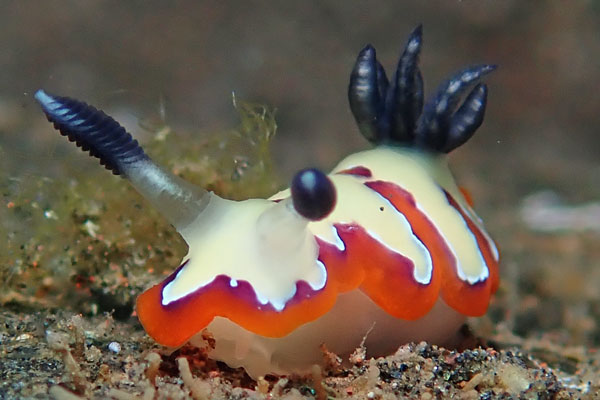 Gerombong
