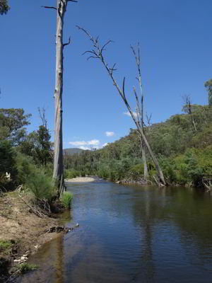 Brindabella National Park