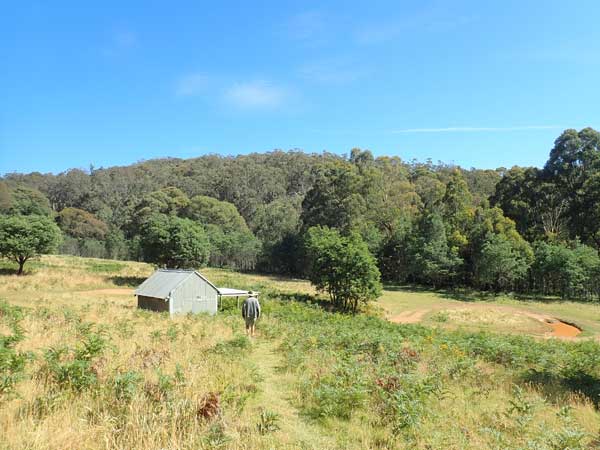 Victorian High Country