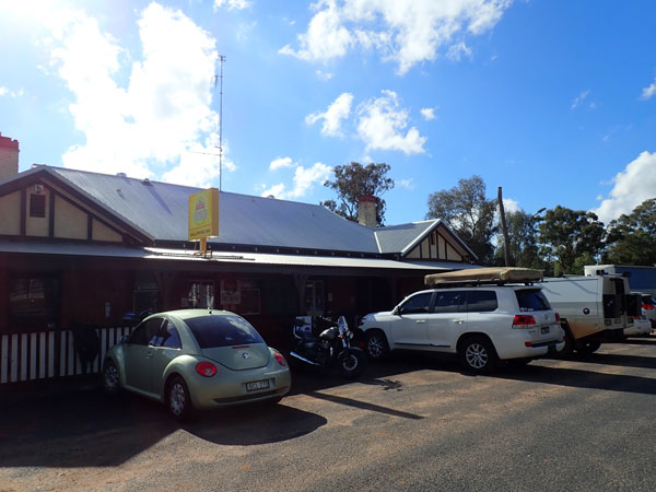 Hair of the Dog Hotel