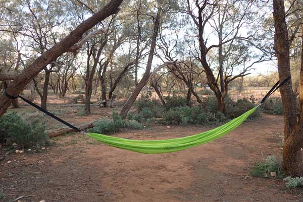Mungo NP