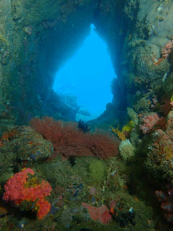 Hole in the Wall