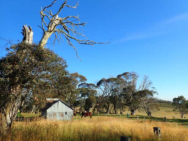 Victorian High Country