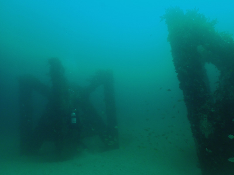 JD Reef