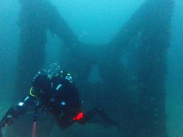 JD Reef