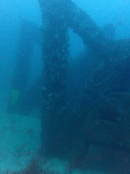 JD Reef