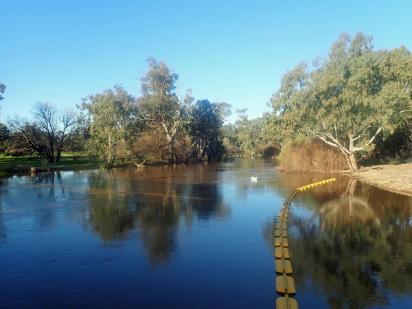 Jemalong Weir