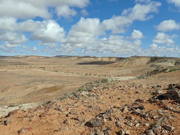 Sturt NP